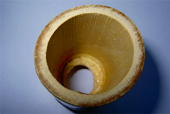 bamboo-cross-section